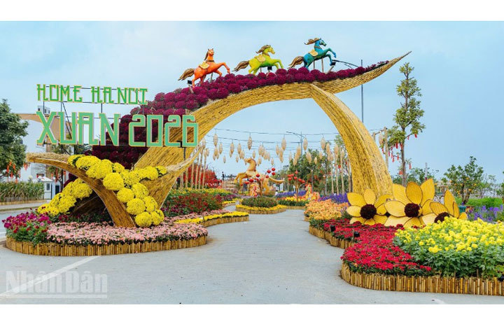 Khai mạc đường hoa Home Hanoi Xuan 2026, đón nhận Chứng nhận của UNESCO