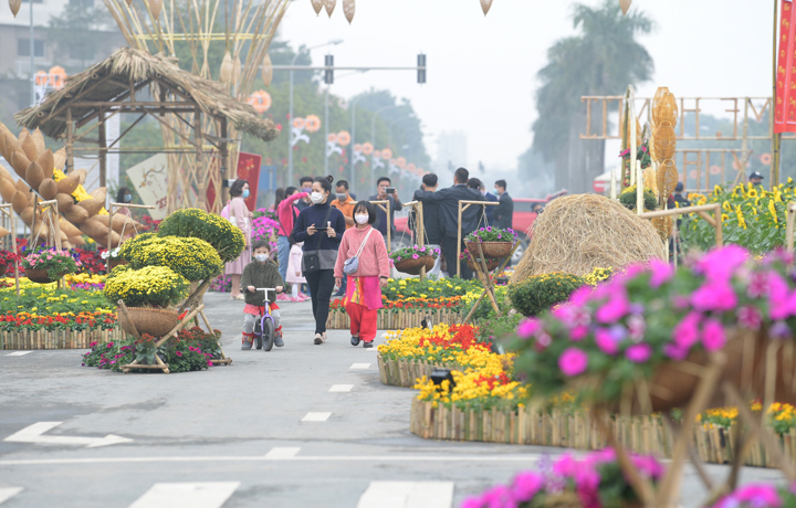 Flower street opens at Splendora urban area to celebrate Lunar New Year holiday